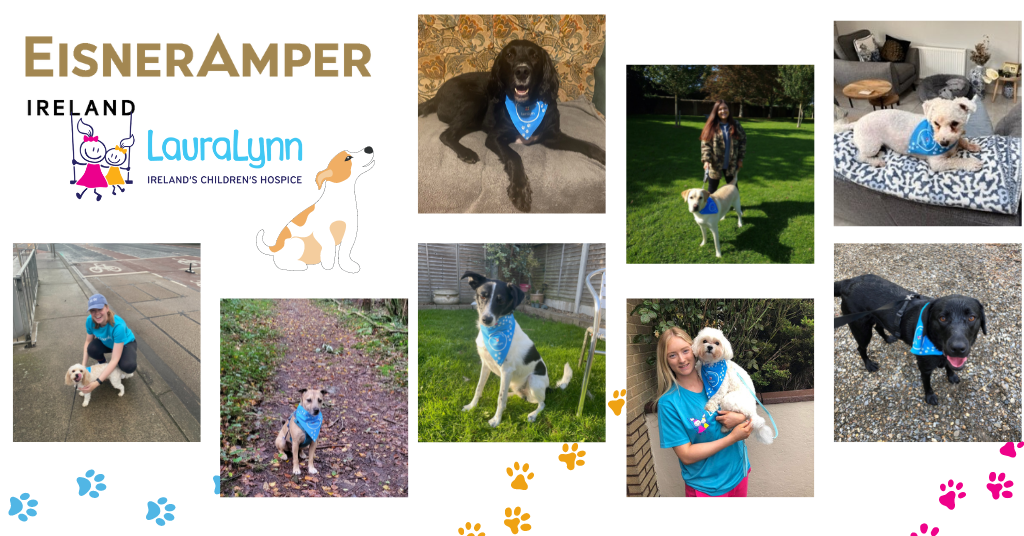 EisnerAmper completes LauraLynn September Dog Walking Challenge | CSR | EisnerAmper Ireland